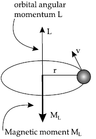 Atoms Class 12 Physics Important Question