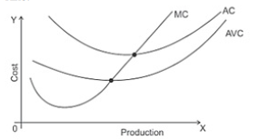Production and Costs VBQs Class 12 Economics