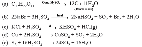The The p – Block Elements HOTs Class 12 Chemistry