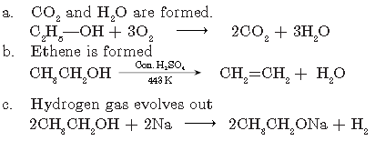 Carbon and Its Compound VBQs Class 10 Science